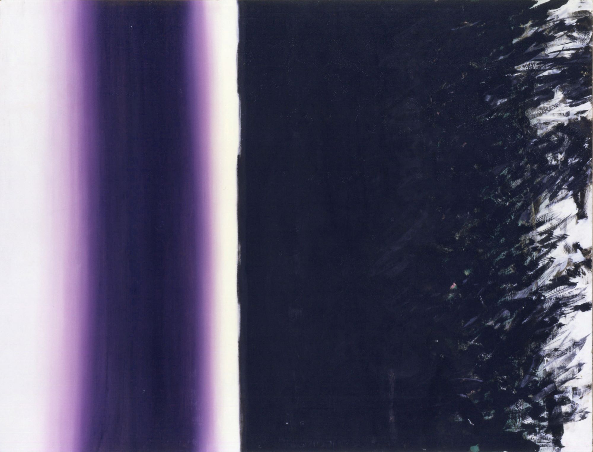 1954 - Dicotomia complementare, tempera su faesite, 130x170 cm